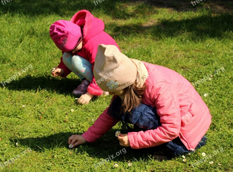 Spring Children The Gap Daisies Child