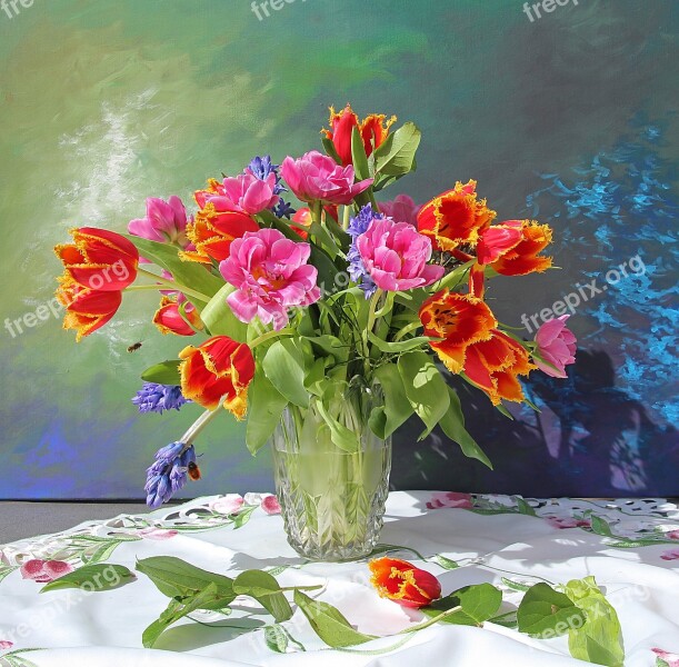 Bouquet Tulips Still Life Vase Colorful