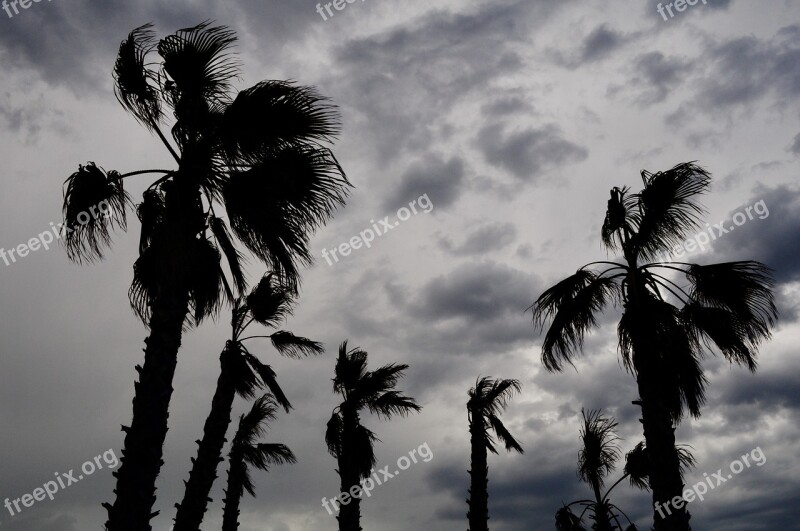 Storm Sky Clouds Wind Free Photos