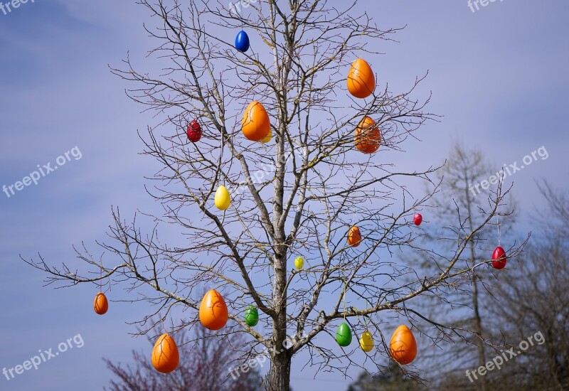 Tree Easter Eggs Colorful Spring Easter Decorations