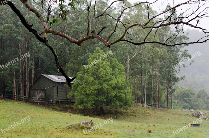 Shed Branch Trees Farm Grass