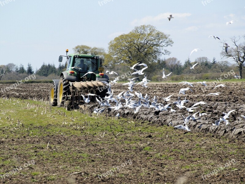 Ploughing Agriculture Tractor Farmland Field