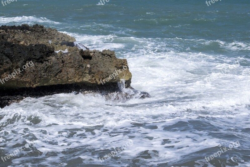 Sea Rocks Cliffs Water Nature