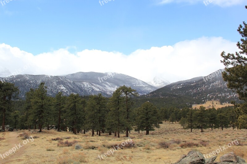 Estes Park Rocky Mountains Snow Rmnp Tree