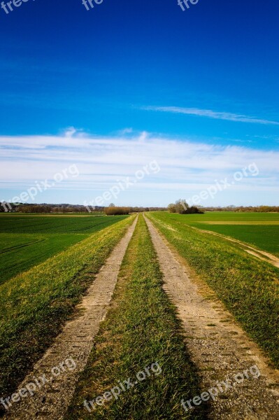 Road Sky Landscape Green Travel