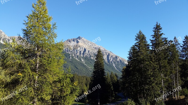 Mountain Alpine View Pine Trees Switzerland Free Photos