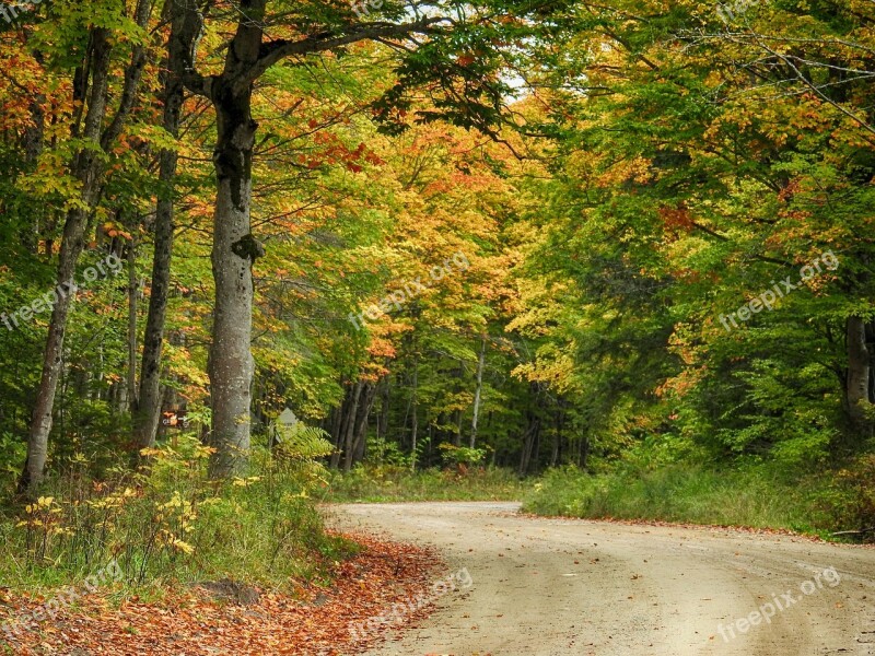 Fall Autumn Colors Nature Leaves