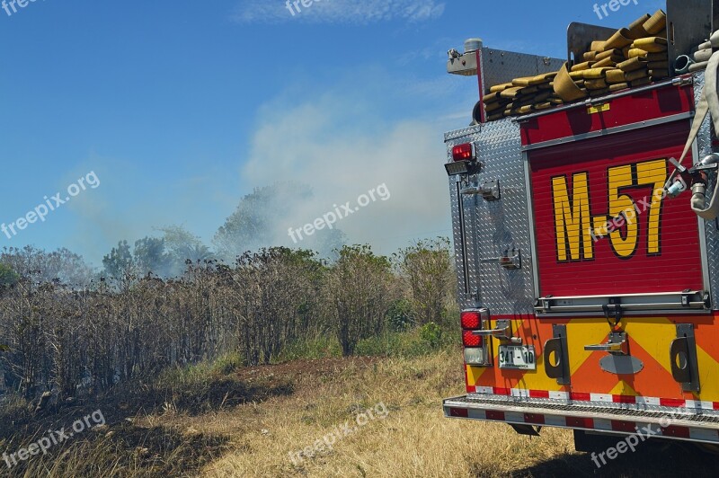 Fire Forest Smoke Unit Machine