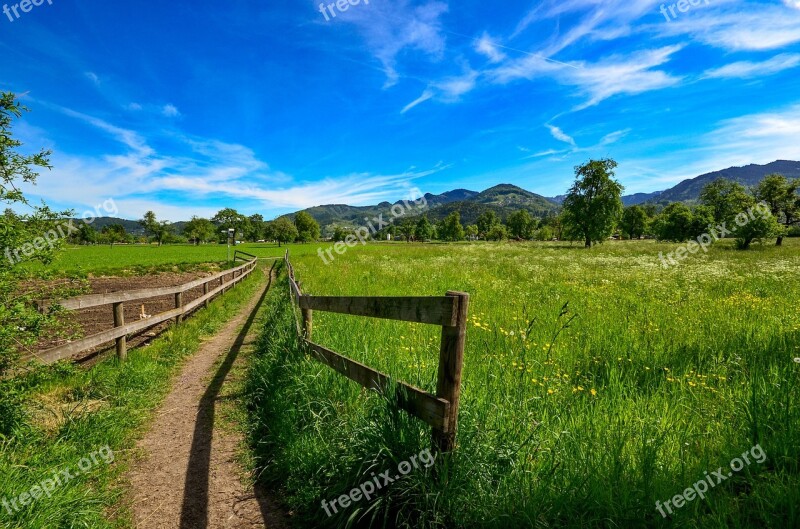 Passage Meadow Landscape Grass Away