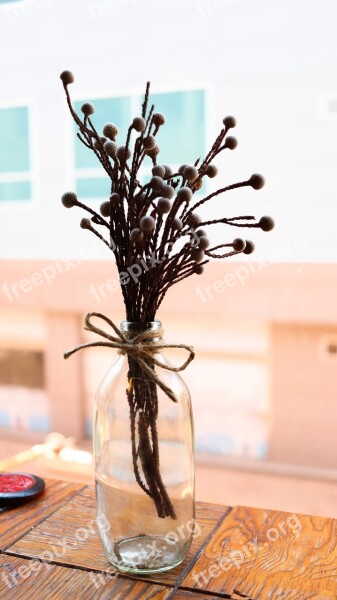 Vase Ornament Window Glass Bottles Free Photos