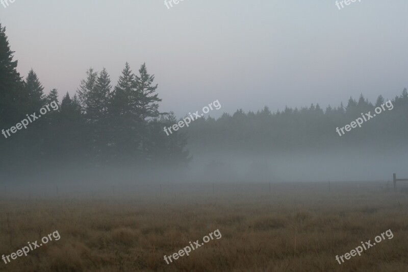 Dawn Fog Farm Landscape Nature