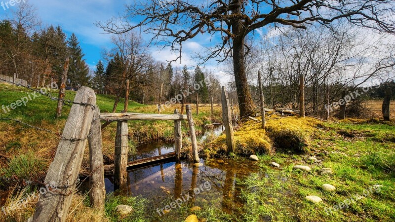 Bach Meadow Tree Fence Landscape