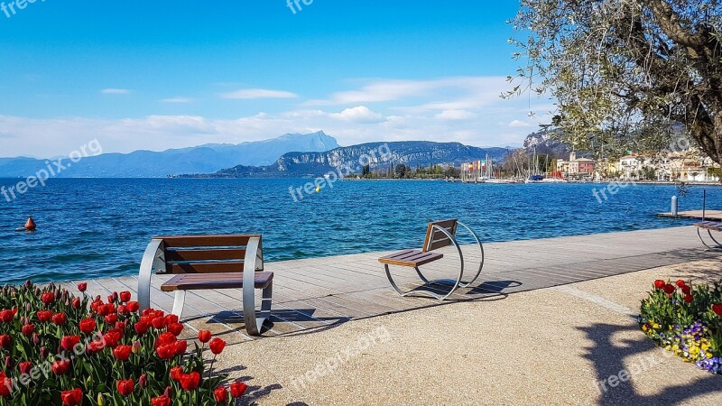 Bardolino Lago Di Garda Garda Italy Wine