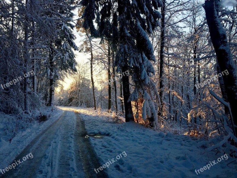 Forest Path Sunrise Winter Light Promenade