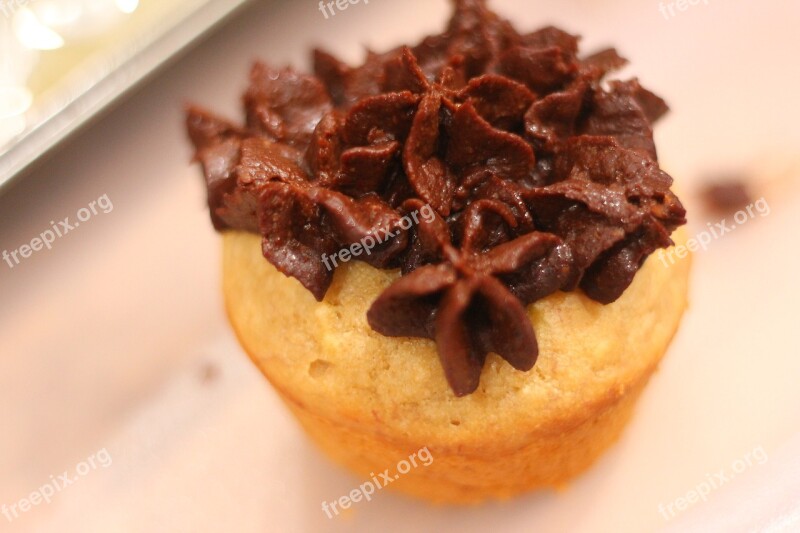 Muffin Cake Homemade Carob Free Photos