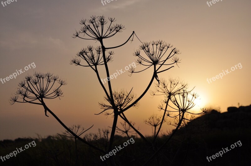 Romance Abendstimmung Evening Sky Sunset Dusk