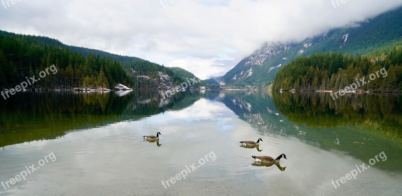 Buntzen Lake British Columbia Canada Canada Geese Lake Beautiful