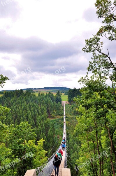 Hanging Rope Bridge Suspension Bridge Bridge Nature Forest