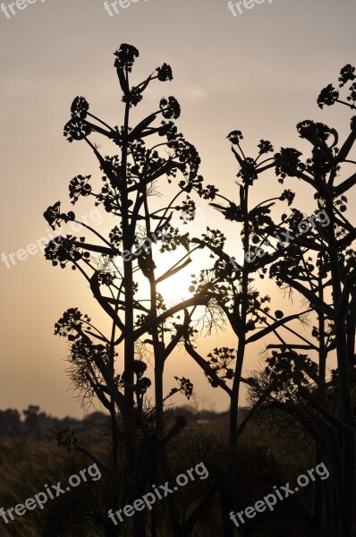 Mood Abendstimmung Twilight Dusk Landscape