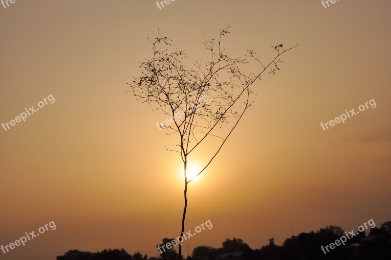 Sunset Nature Abendstimmung Dusk Mood