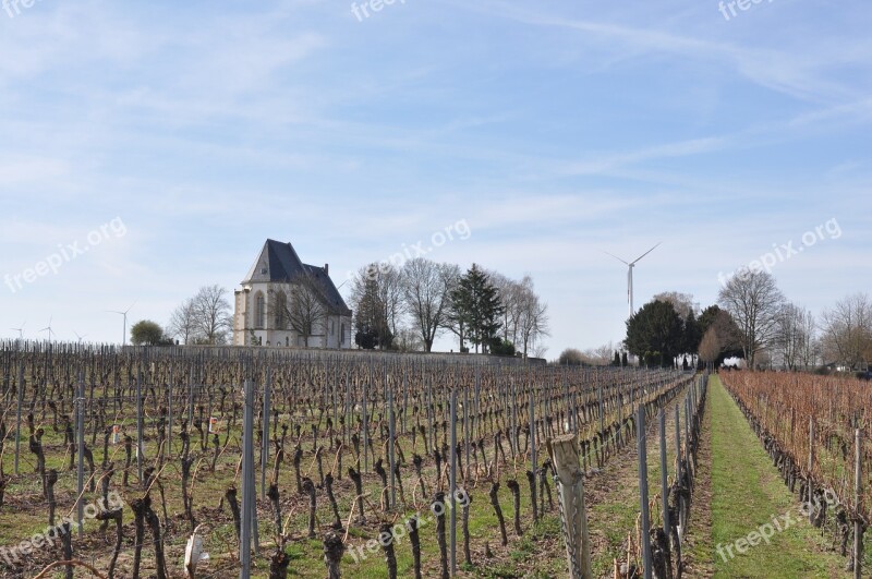 Landscape Vineyards Church Vine Nature