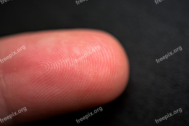 Close Up Finger Fingerprint Macro Lines