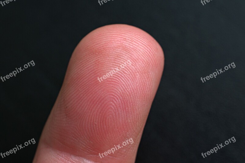 Close Up Finger Fingerprint Macro Lines