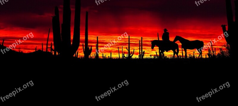 Sunset America Park Cactus Saguaro Western