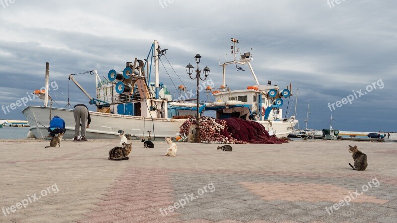 Fisherman Greece Cat Katzenjammer Fishing Boat