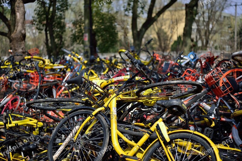 Bicycle Sharing Ofo Mobai Sharing Bicycle