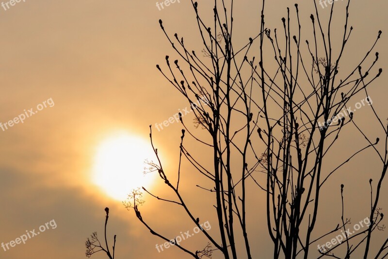 Sol Sunset Clouds Sky Wood