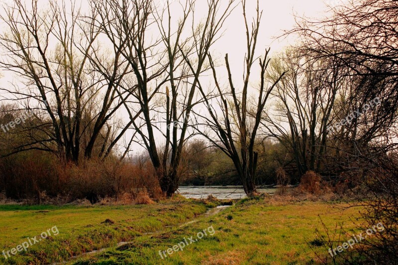 Pond Meadow Spring Landscape Nature