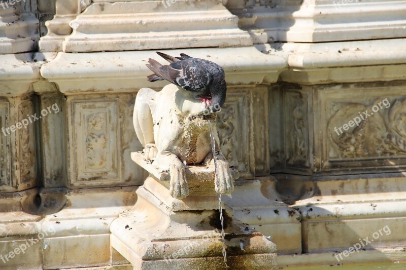 Pigeon Fountain Statue Sculpture Monument