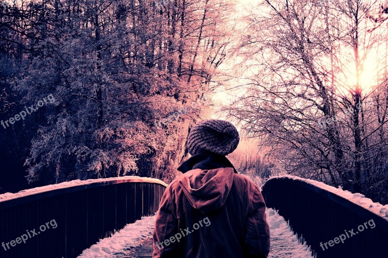 Walking Strolling Bridge Snow Alone