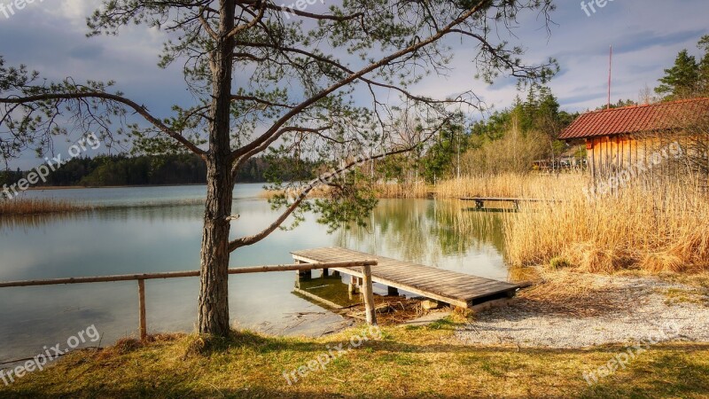 Lake Bank Reed Landscape Rest