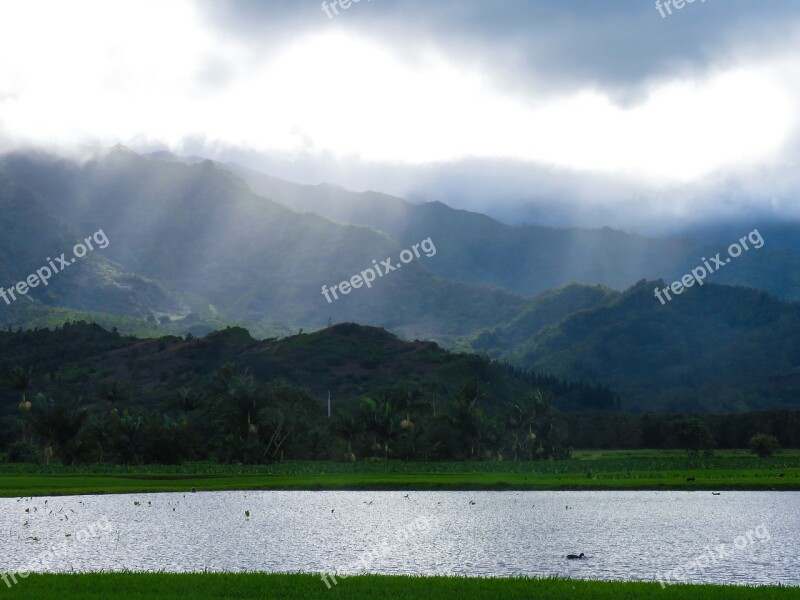 Hanalei Kauai Hawaiian Island Hanalei Pond Taro Ponds Hanalei