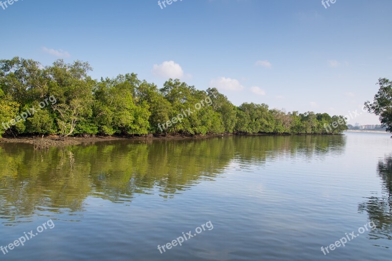 Singapore Sungei Buloh Mangrove Coast Reserve