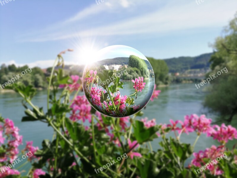 Summer Time Flowers Summer Blossom Bloom