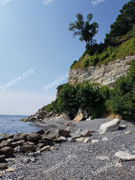 Stevens Klint Denmark Chalk Cliffs Sea Free Photos