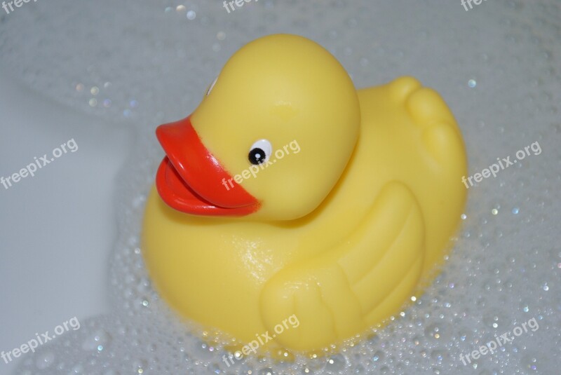 Duck Bath Yellow Plastic Free Photos