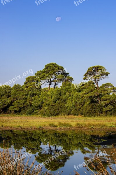 Trees Reflections Water Lake Nature