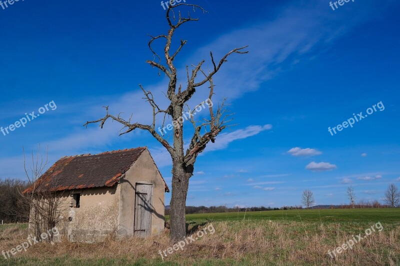 Hut Tree Kahl Landscape Nature