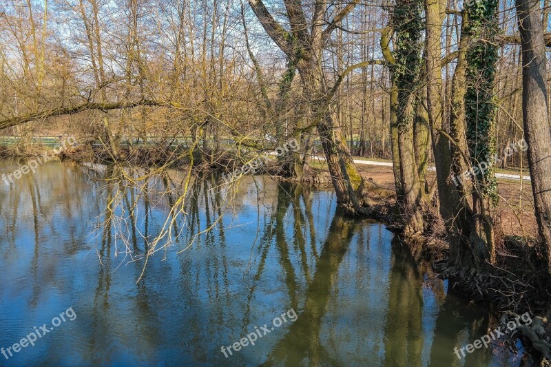 Bach River Bank Trees Mirroring