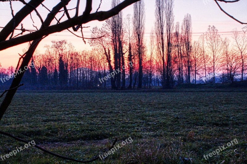 Sunset Trees Colors Nature Landscape