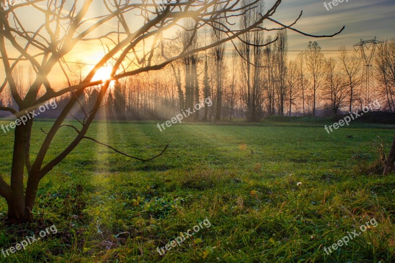 Sunset Sun Trees Grass Field