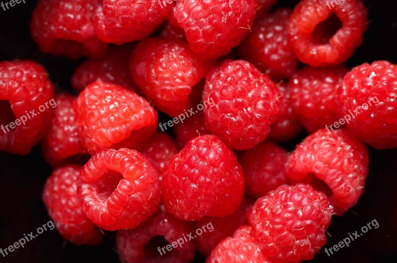 Raspberry Berry Nutrition Berries Vitamins