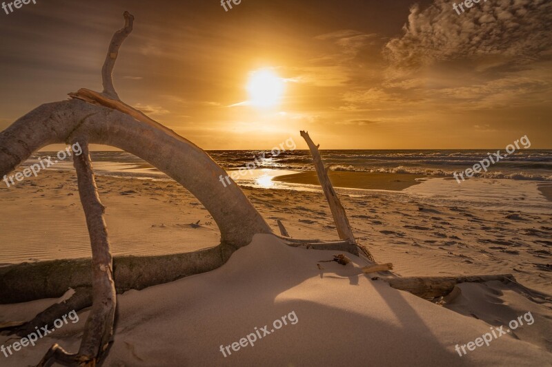 Baltic Sea West Beach Sunset Sea Nature