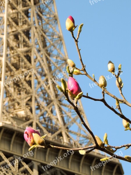 Paris Eiffel Tower France Monument Famous