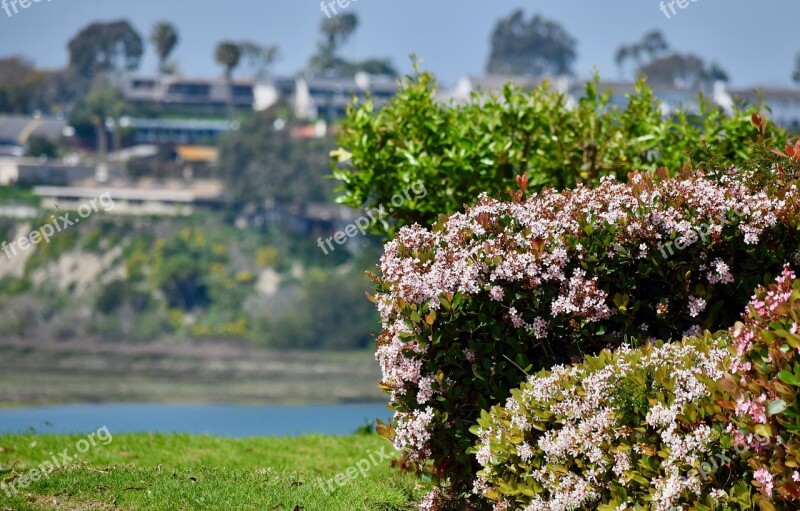 View Water California Orange County Eastbluff