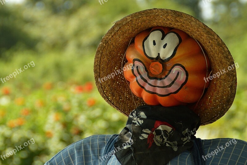 Pumpkin Frightens Off Birds Farm Man Head